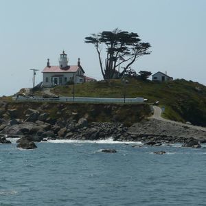 Meet your Posher, Argust